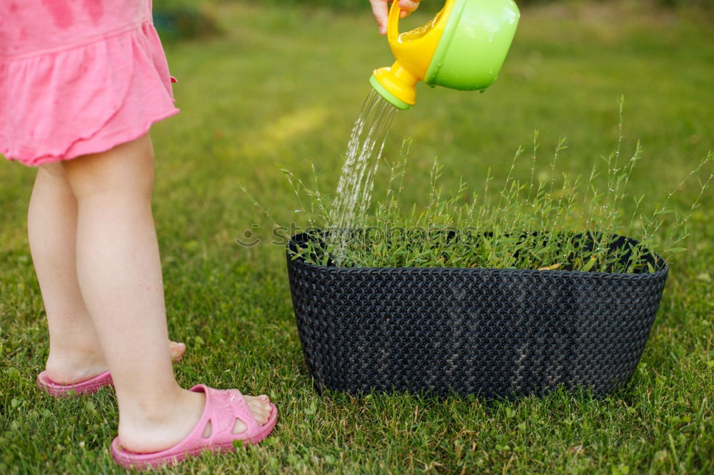 Similar – Image, Stock Photo Children play mini golf in the garden