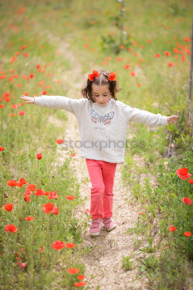 Similar – Image, Stock Photo Lovely little girl in the field of wild flowers