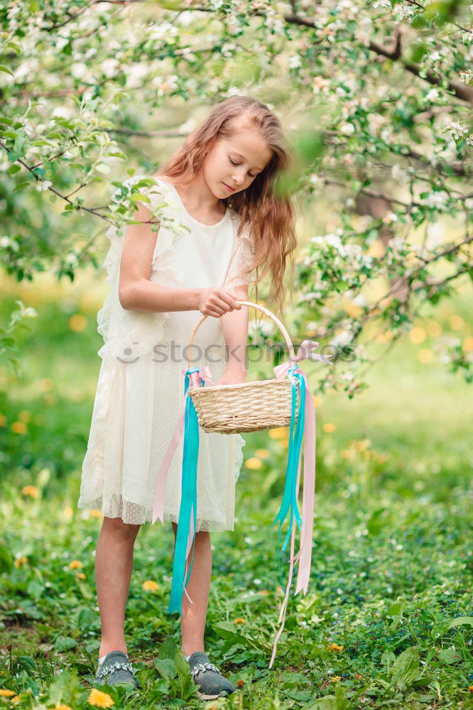 Similar – happy child boy catching butterflies