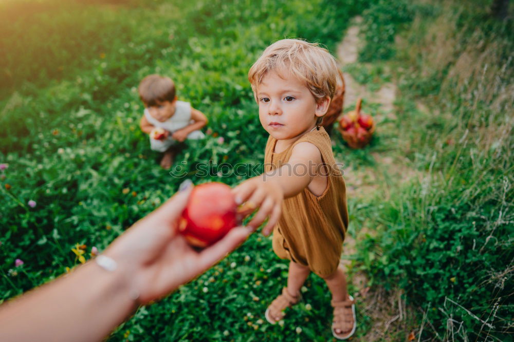 Similar – . Frucht Apfel Bioprodukte