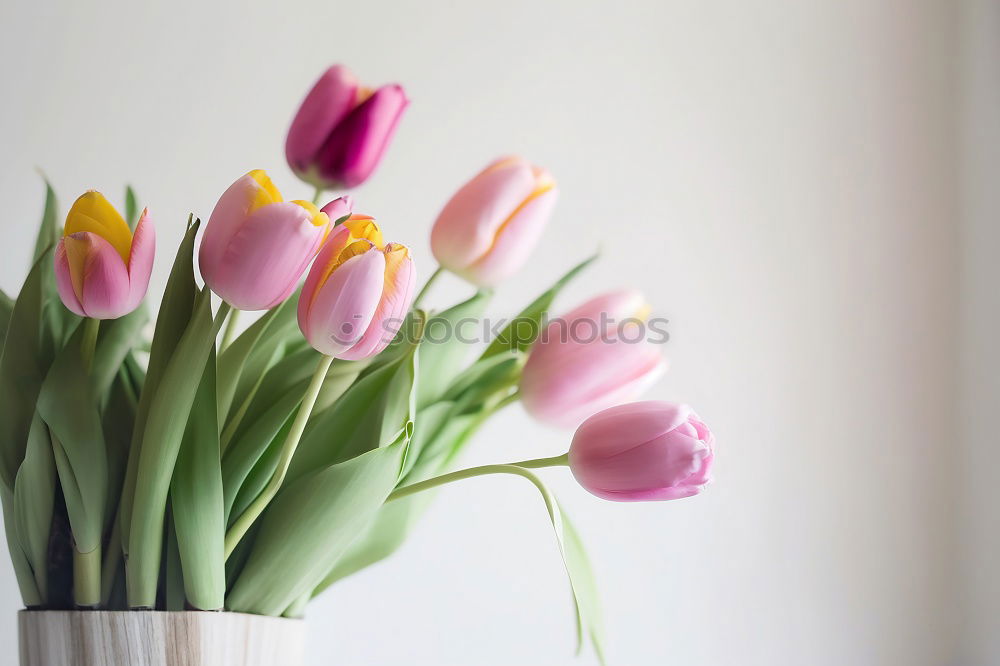 Similar – Tulip flowers on wooden background