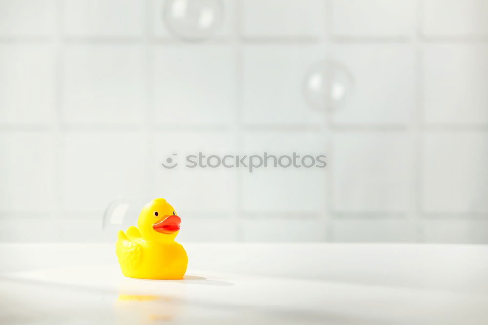 bathing friends Joy