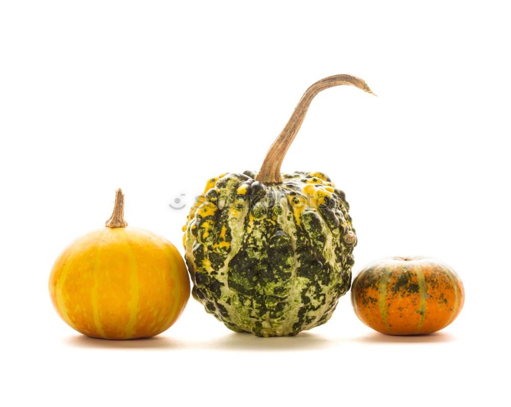 Similar – Image, Stock Photo Pumpkin stack on white