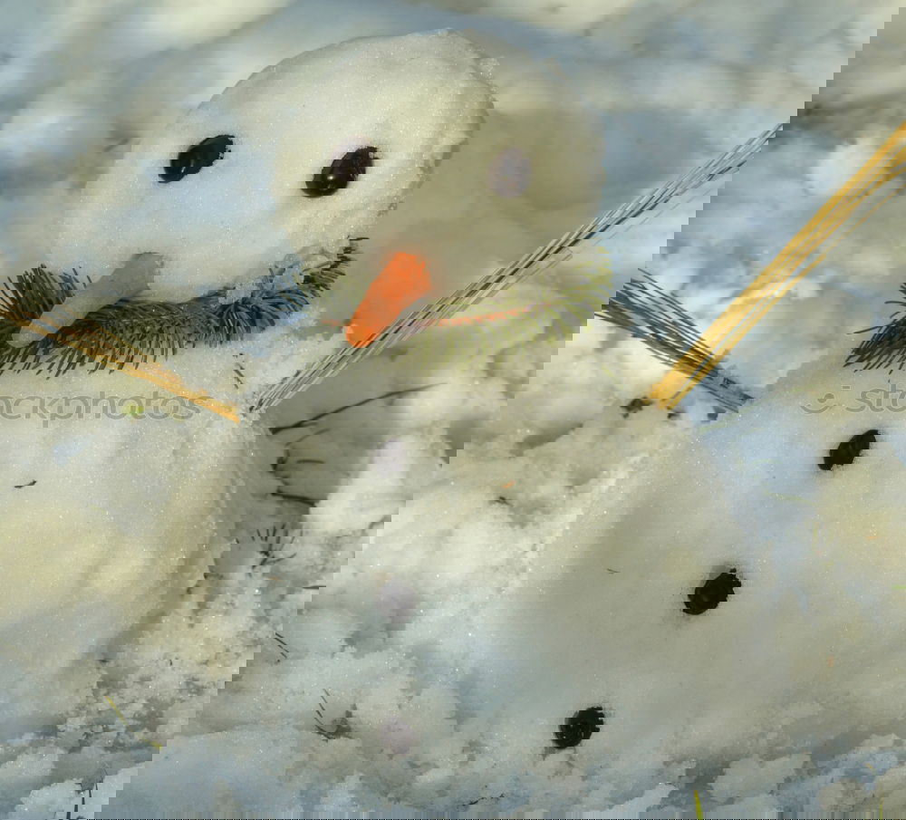 Similar – Image, Stock Photo Snowman in the yard Joy