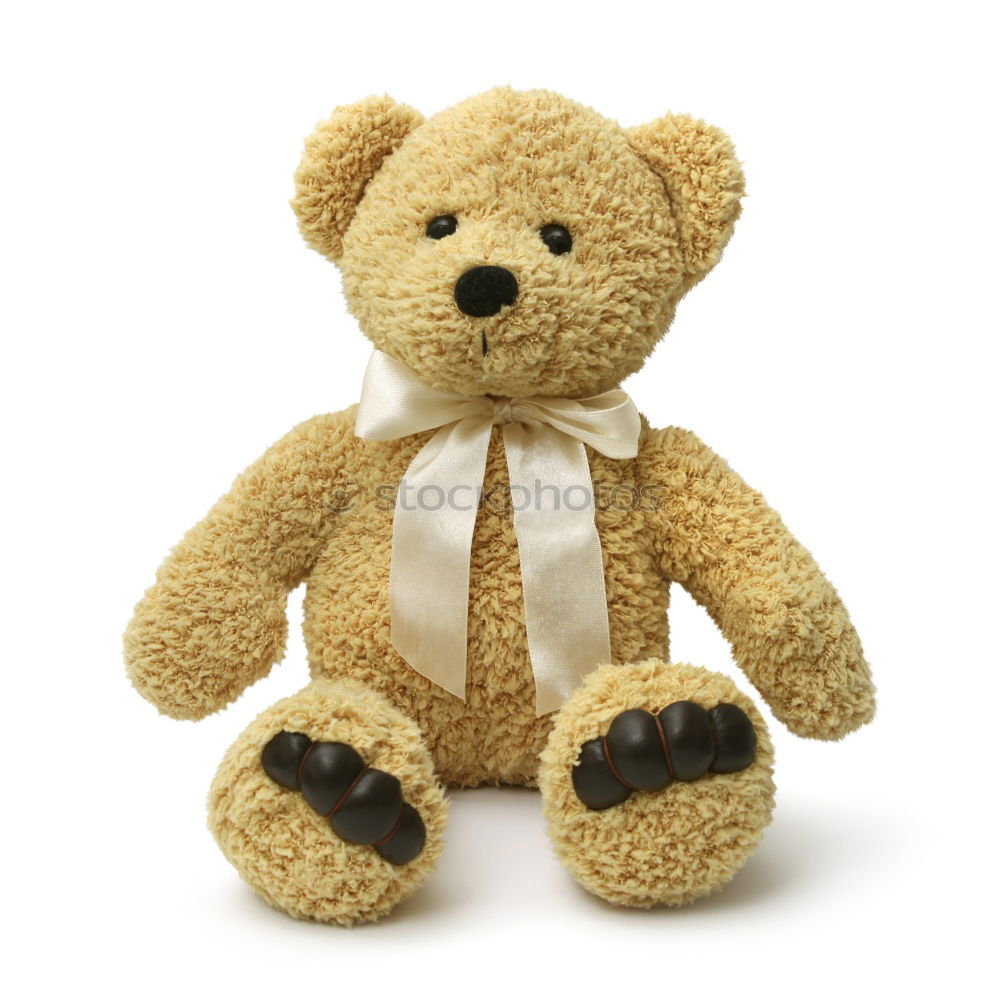 Similar – Image, Stock Photo teddy bear in a knitted multi-colored scarf