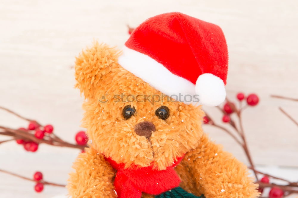 Similar – Image, Stock Photo Teddy bear with Christmas cap