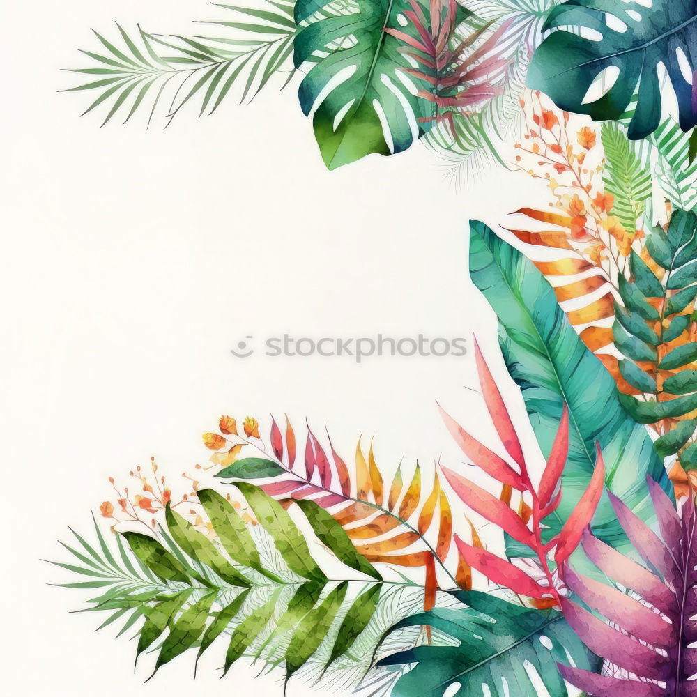 Similar – Palm leaves and tropical flowers