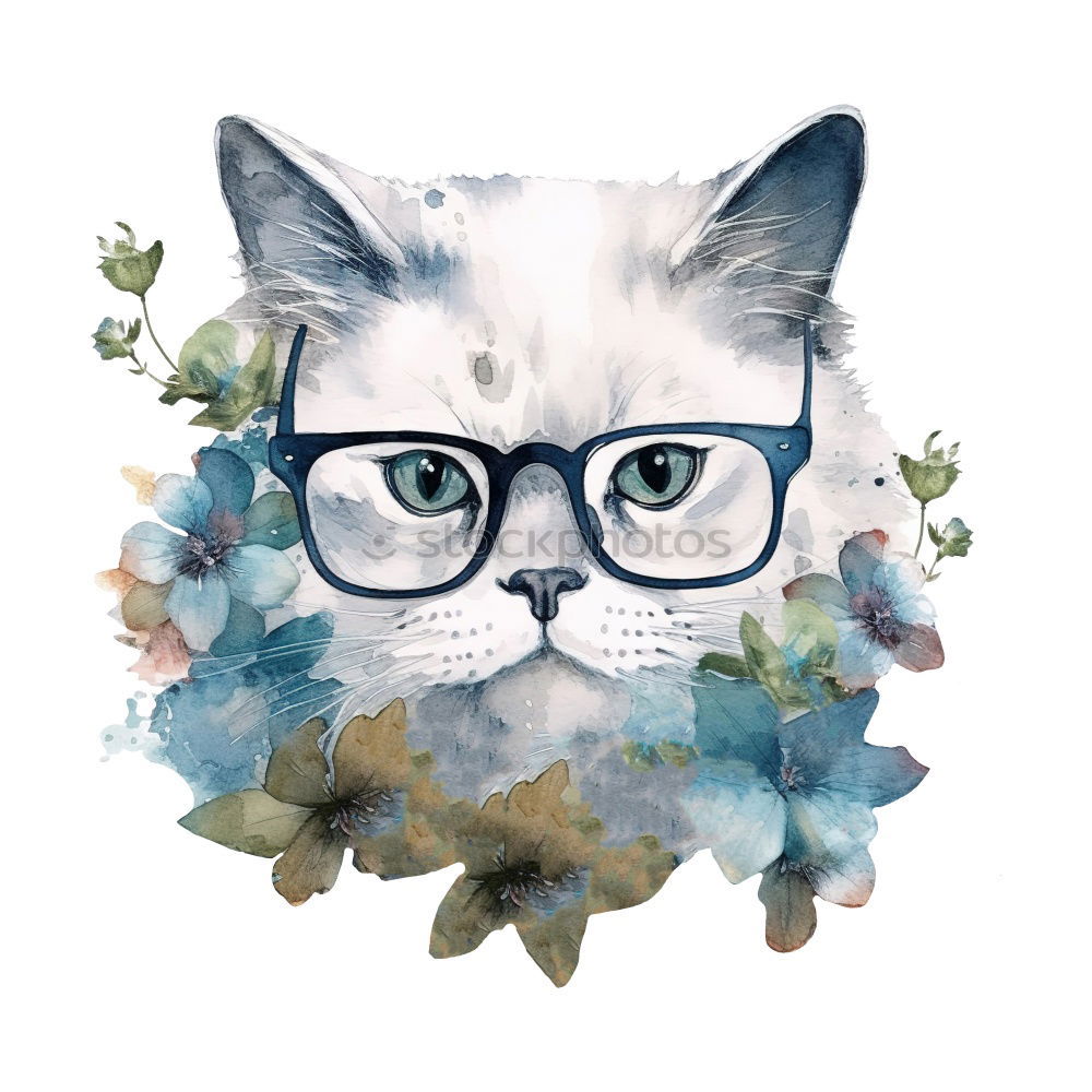 Similar – Image, Stock Photo meow Leisure and hobbies