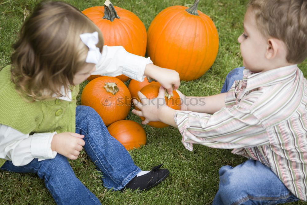 Similar – Image, Stock Photo Adorable girl todler embracing pumpkins on an autumn field