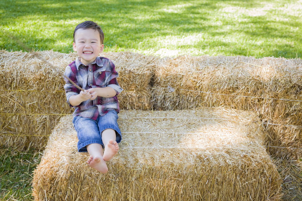 Similar – Child playing with toy tractor on meadow