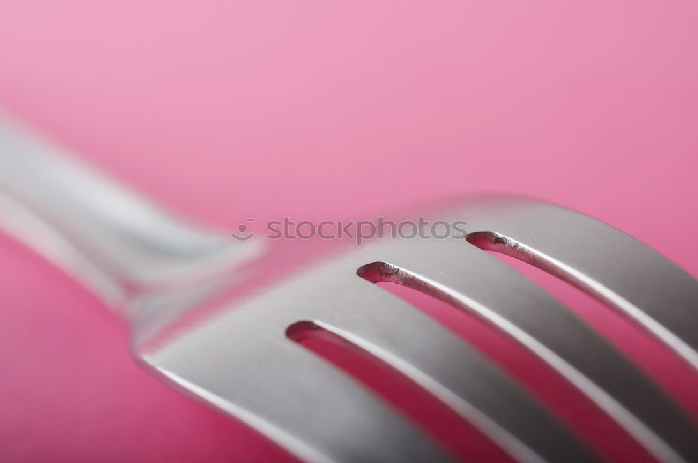 Similar – Paper scroll with ribbon on pink background