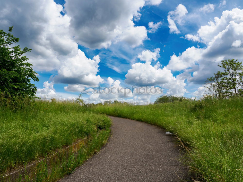 Similar – Foto Bild Motiv Himmel Sonne Sommer