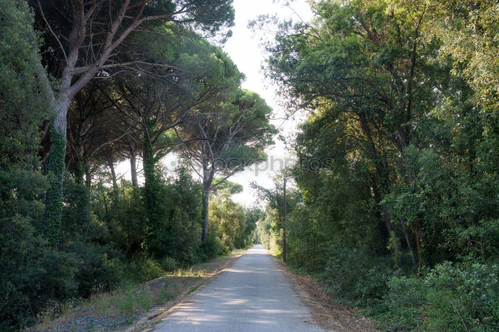 Similar – down from Notre-Dame de la Garde in Marseille