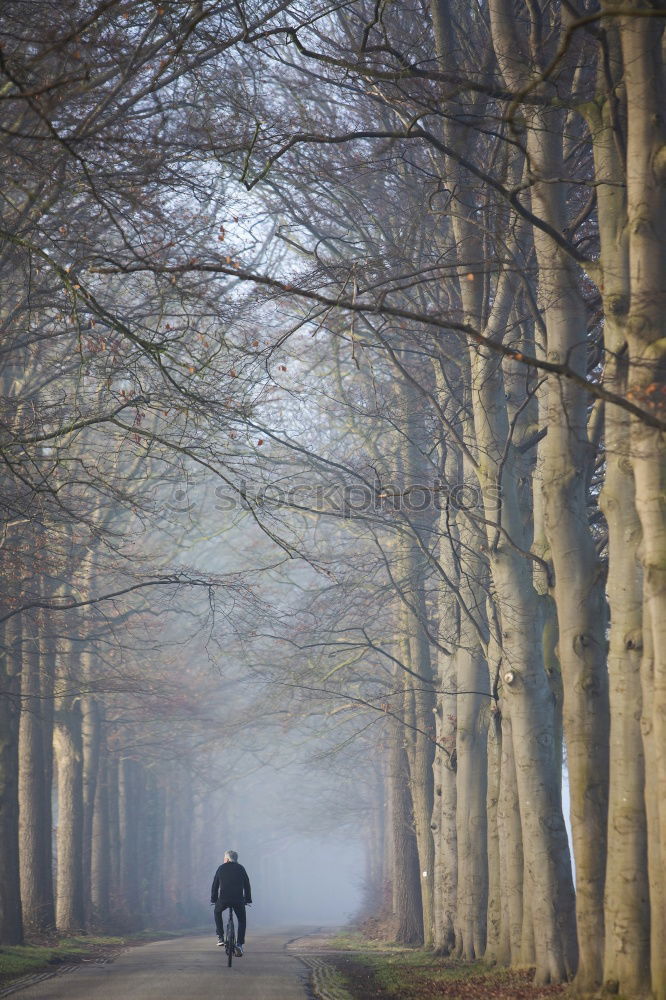 Similar – winter walk Woman Old