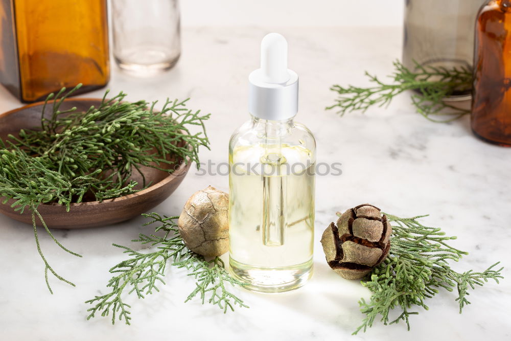 Similar – Image, Stock Photo Essential oil, with natural cherry flowers