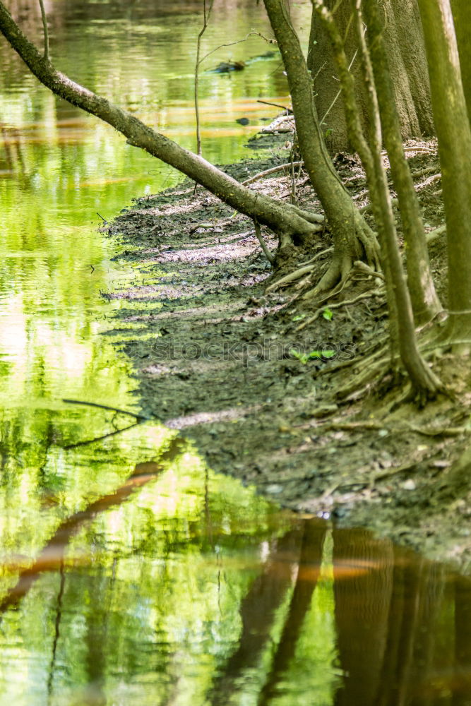 Similar – waterways Nature Landscape