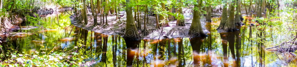 Similar – Algengrün an Wasserblau