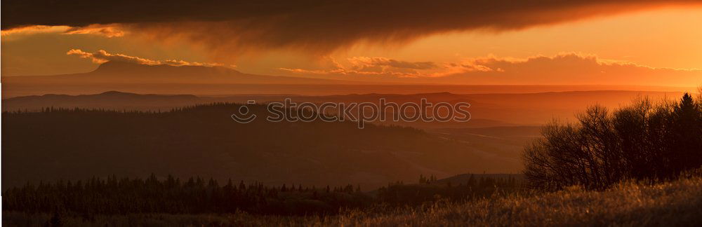 Similar – Image, Stock Photo Sunset over forest