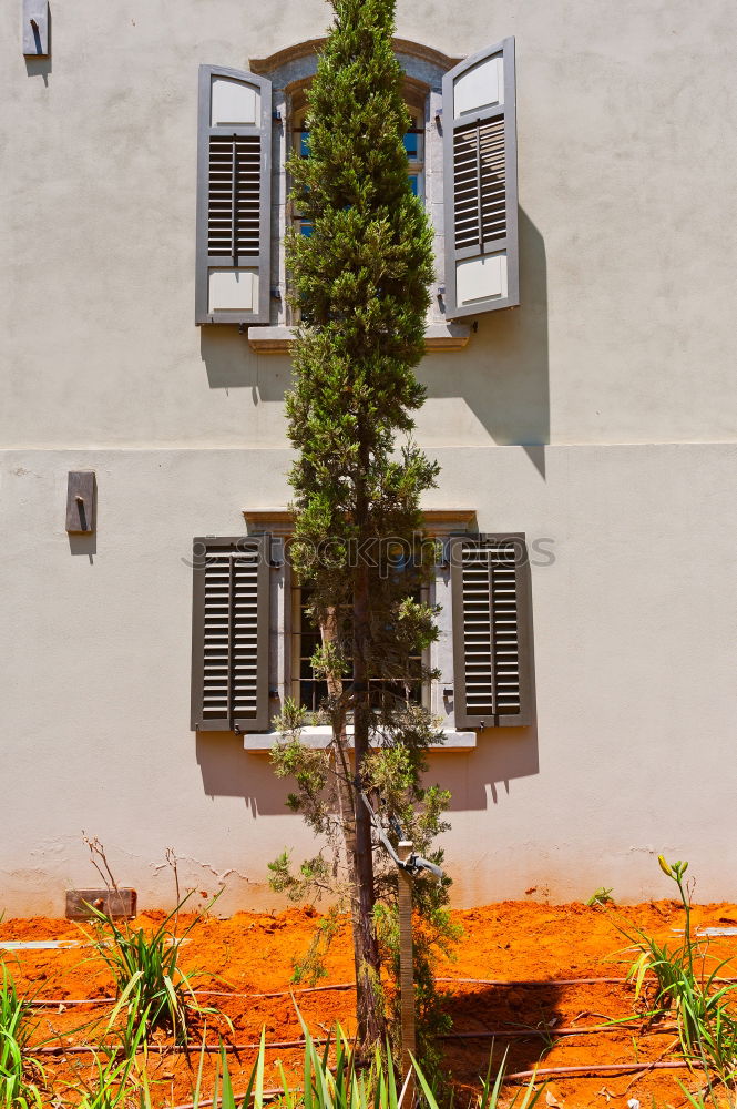 Similar – Image, Stock Photo roof garden Well-being