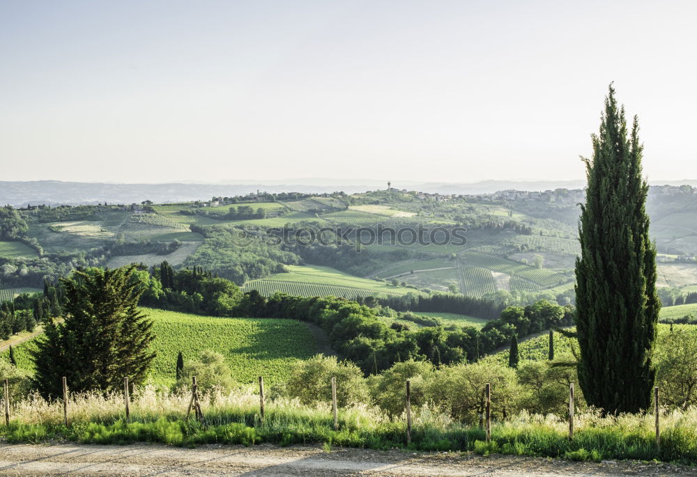 Similar – Val d’Orcia