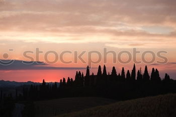 Similar – Winding paths with cypress trees between the green fields.