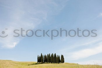 Similar – Image, Stock Photo trekking Landscape Sky