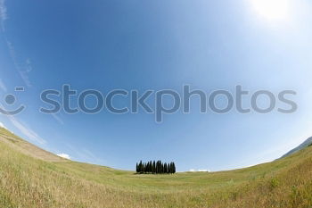 Similar – A country estate in Tuscany in spring