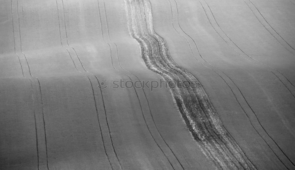 Similar – Image, Stock Photo snow tracks Snow