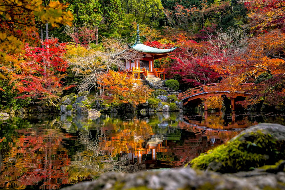 Image, Stock Photo Kiyomizu-dera Exotic