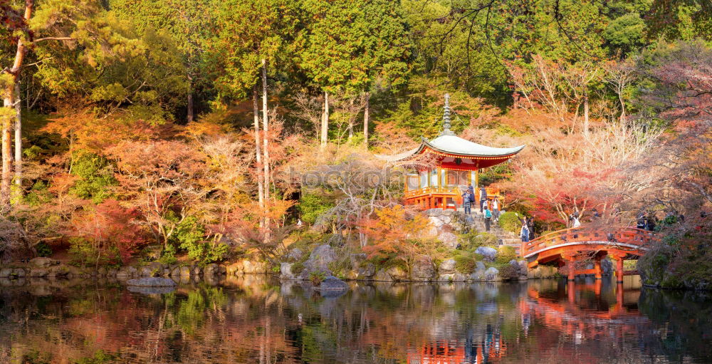 Similar – torii Nature Landscape