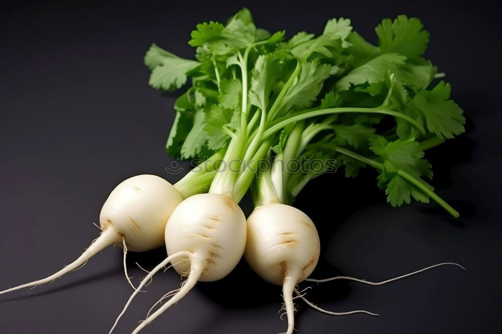 Similar – Fresh green garlic