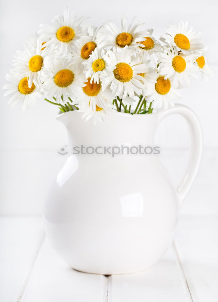 Similar – Watering can with flowers