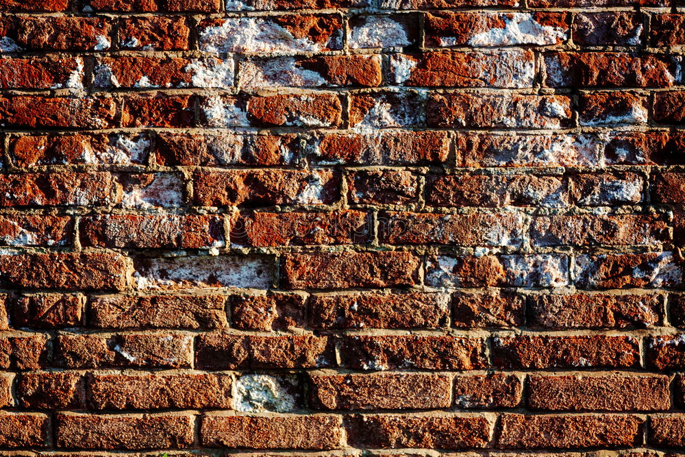 Similar – Image, Stock Photo Brick 3