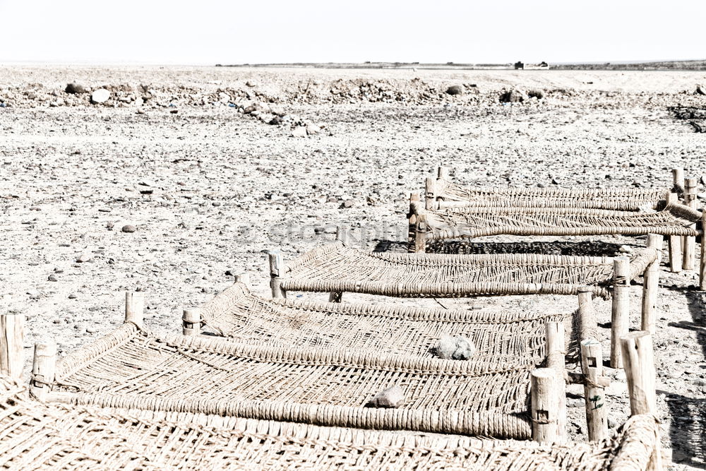 Similar – Image, Stock Photo tracks Drought Vehicle