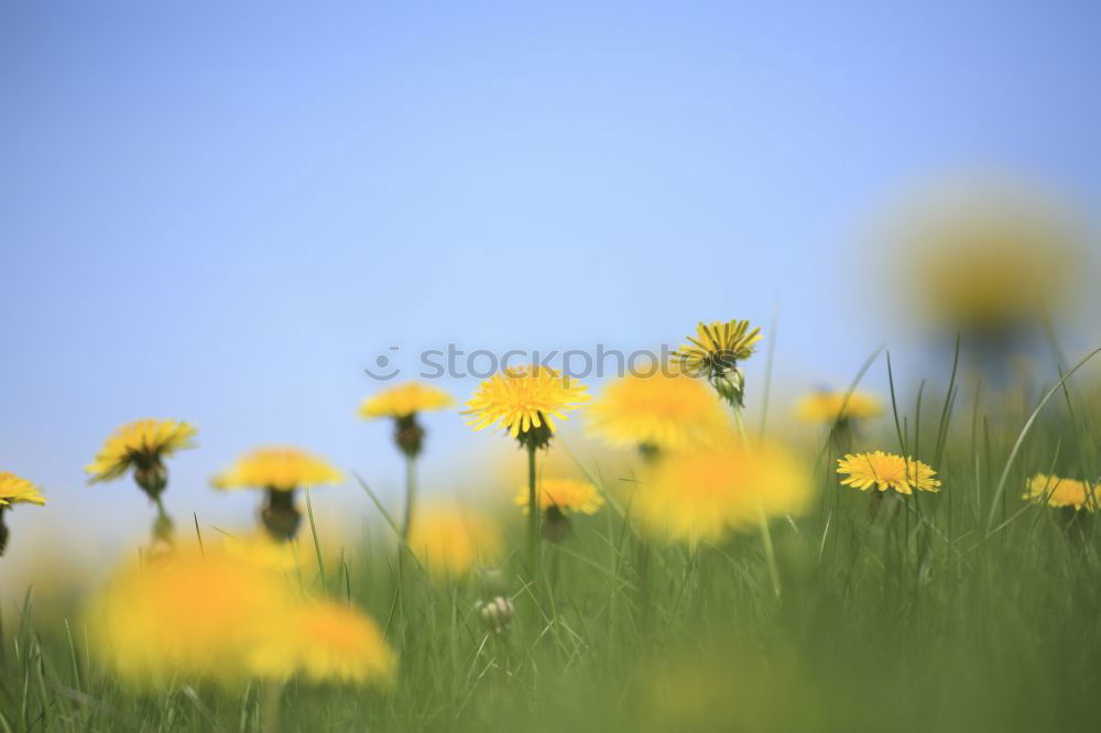 Similar – Image, Stock Photo blue 05 Hiking Break