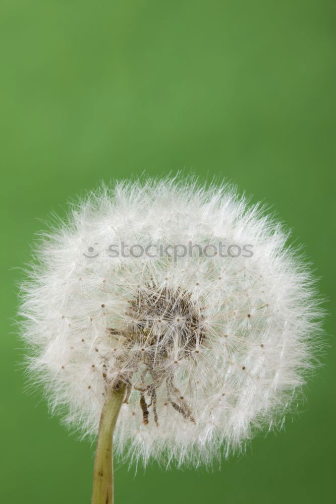 Similar – hand-tame 1 Hand Meadow