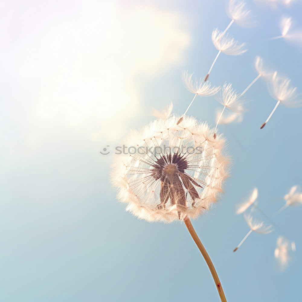 Similar – Image, Stock Photo redhead Healthy Senses
