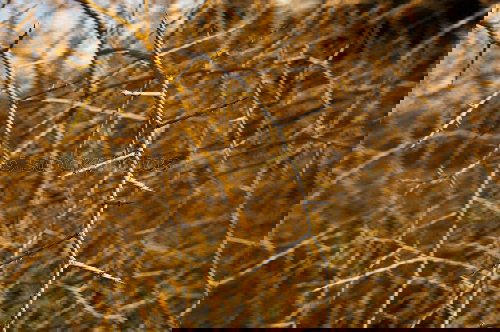 Similar – Foto Bild Kabelsalat Jerusalem