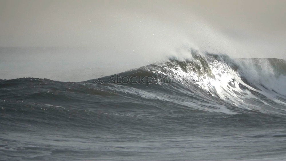 Similar – Surfer in wave Ocean Waves