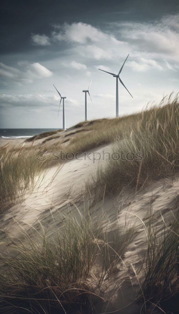 Similar – Image, Stock Photo Evening sun over Arö Denmark