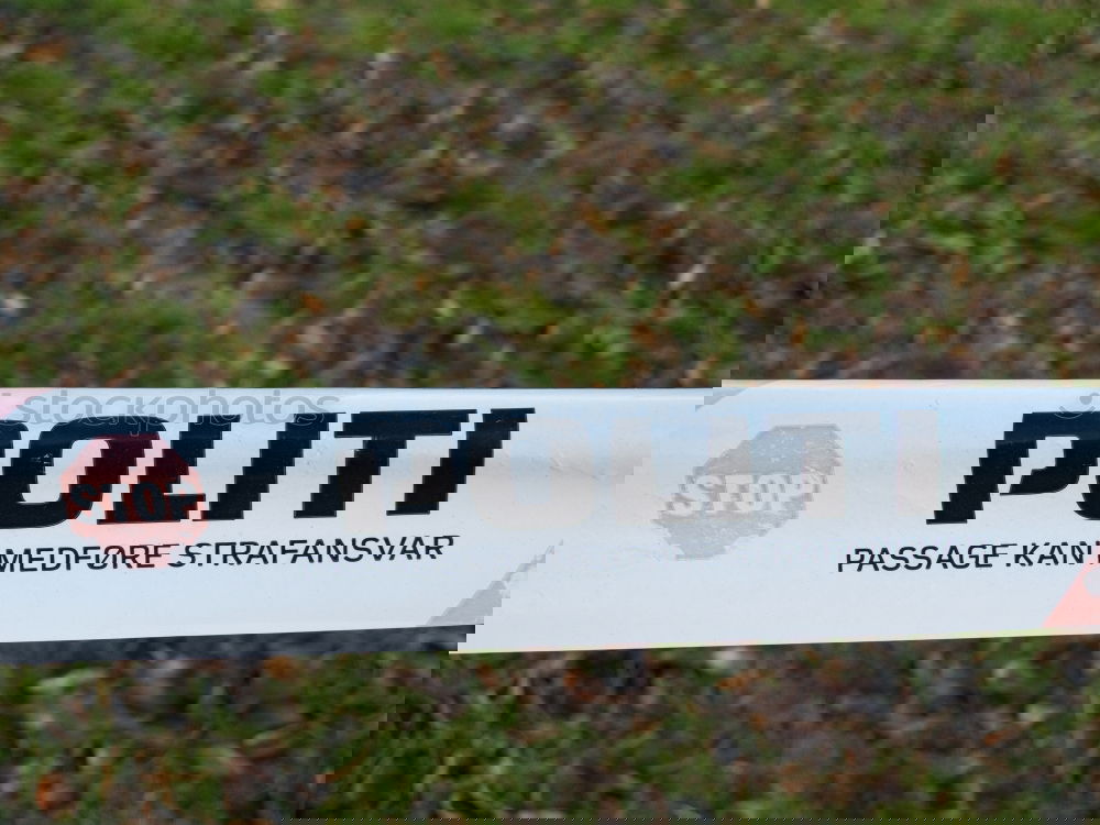 Foto Bild Weltformel Graffiti