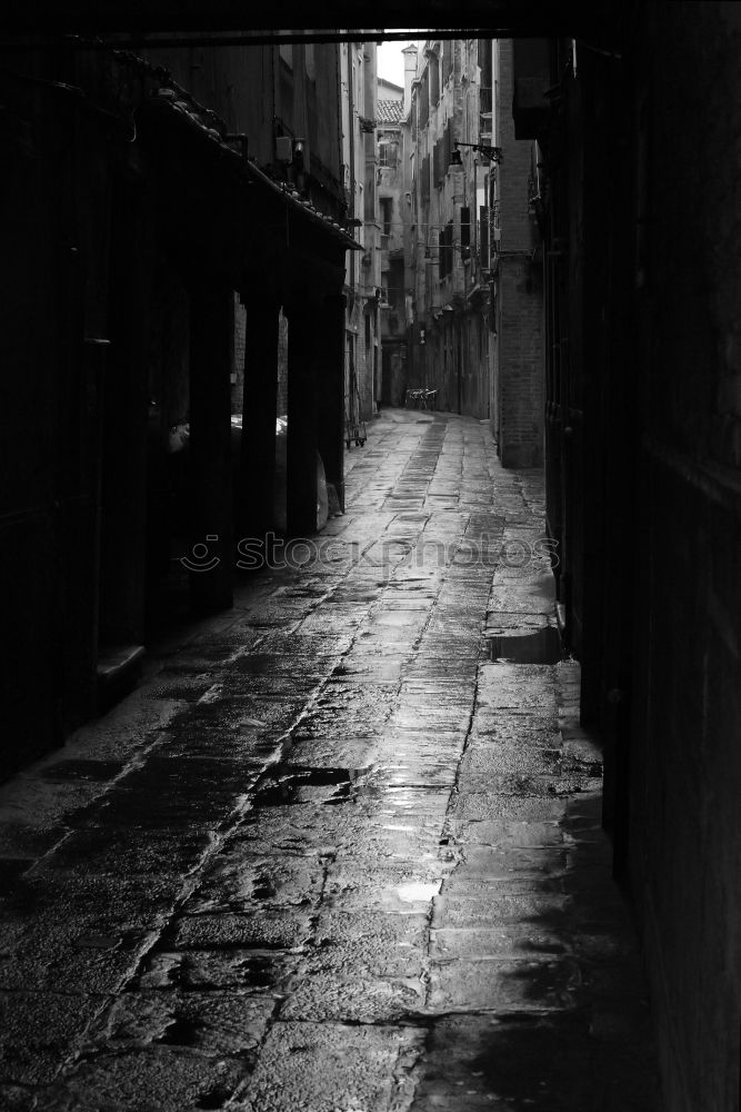 Similar – Image, Stock Photo Walking on wet street