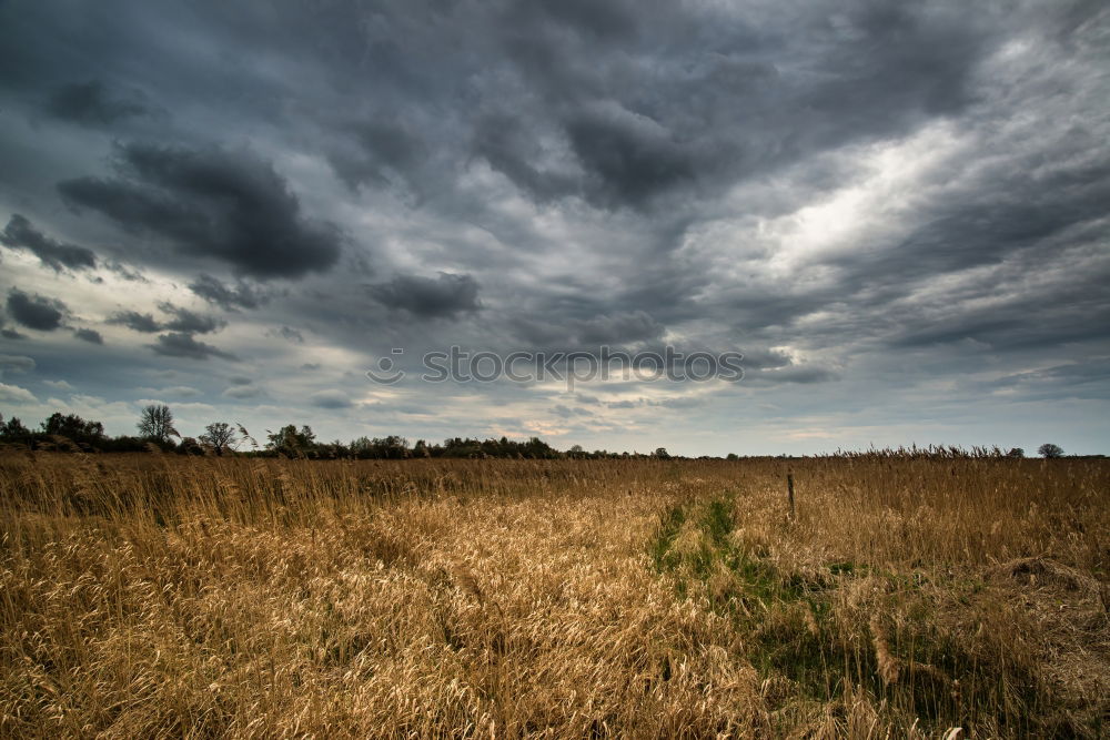 Similar – Image, Stock Photo Weather Nature Landscape