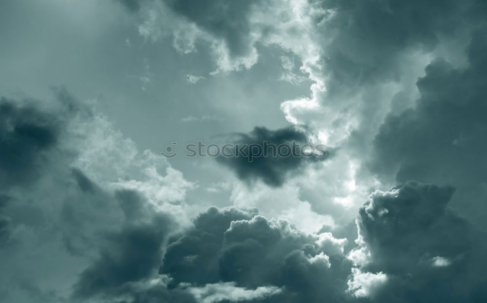 Similar – Image, Stock Photo HURRICANE. Hurricane Gale