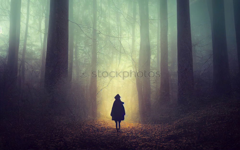 Similar – Foto Bild Waldgeist Herbst Hexe