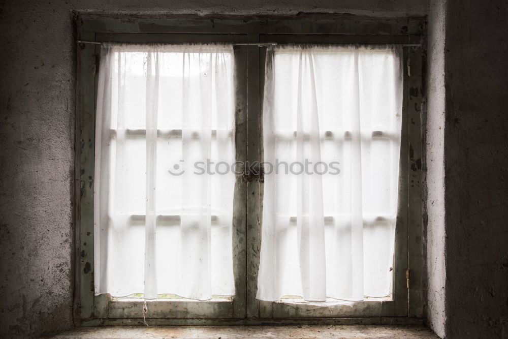 Similar – Image, Stock Photo Beautiful Life Window Room