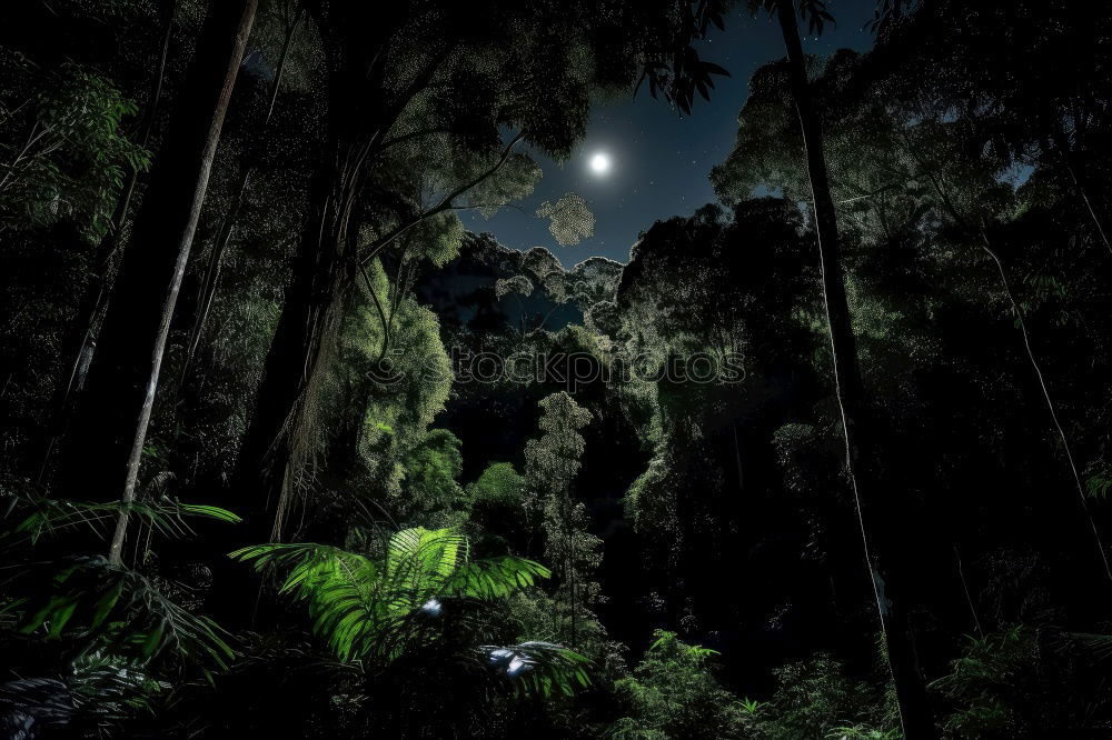 Similar – Image, Stock Photo starry sky Nature Plant