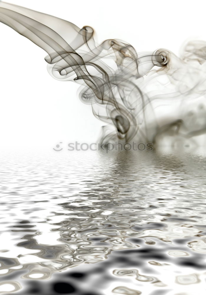 Similar – Blade of grass with spider threads and dewdrops