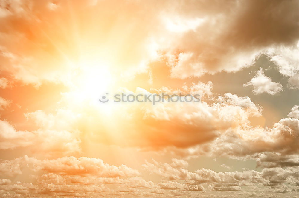 Similar – Image, Stock Photo sunman Man Light Cuba