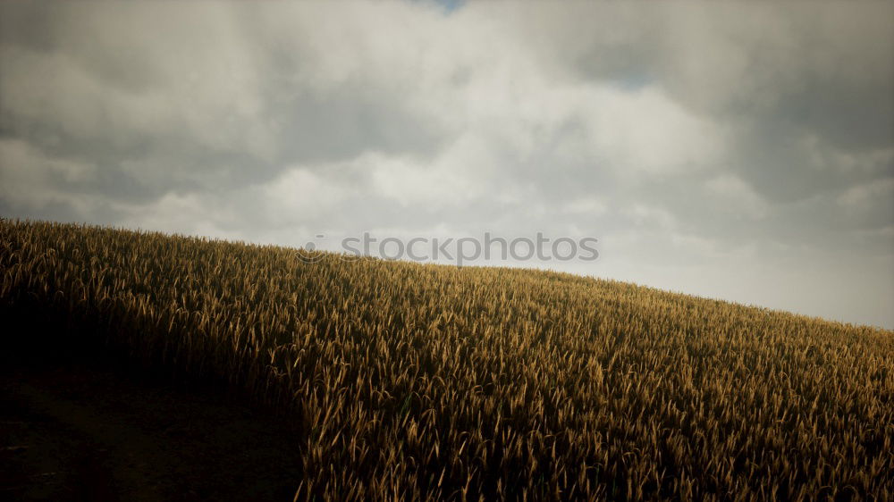 Similar – Foto Bild Rotkäppchen im Regen